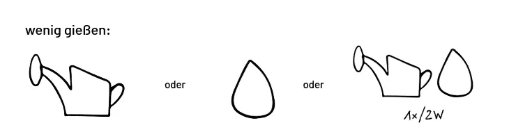 PflanzenSymbole deuten Erklärung + Download Rothstift
